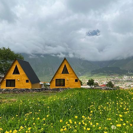 Pine Chalet Kazbegi מראה חיצוני תמונה