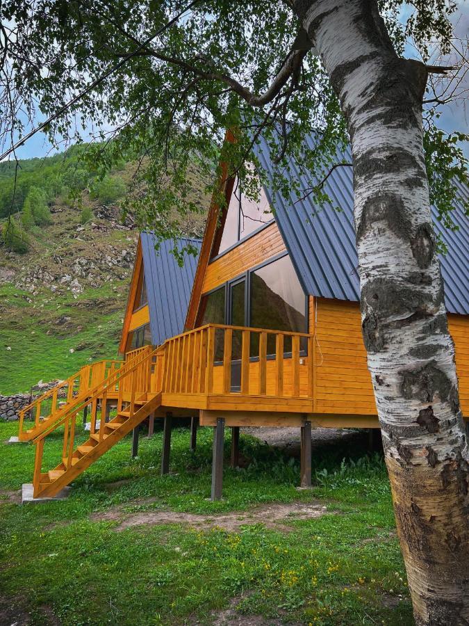 Pine Chalet Kazbegi מראה חיצוני תמונה