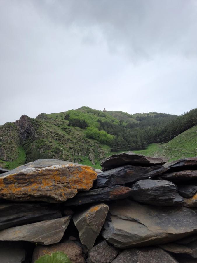 Pine Chalet Kazbegi מראה חיצוני תמונה
