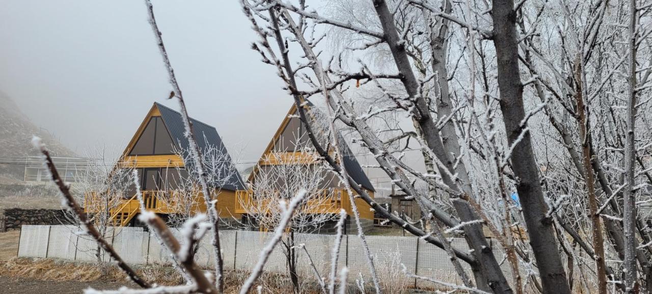 Pine Chalet Kazbegi מראה חיצוני תמונה