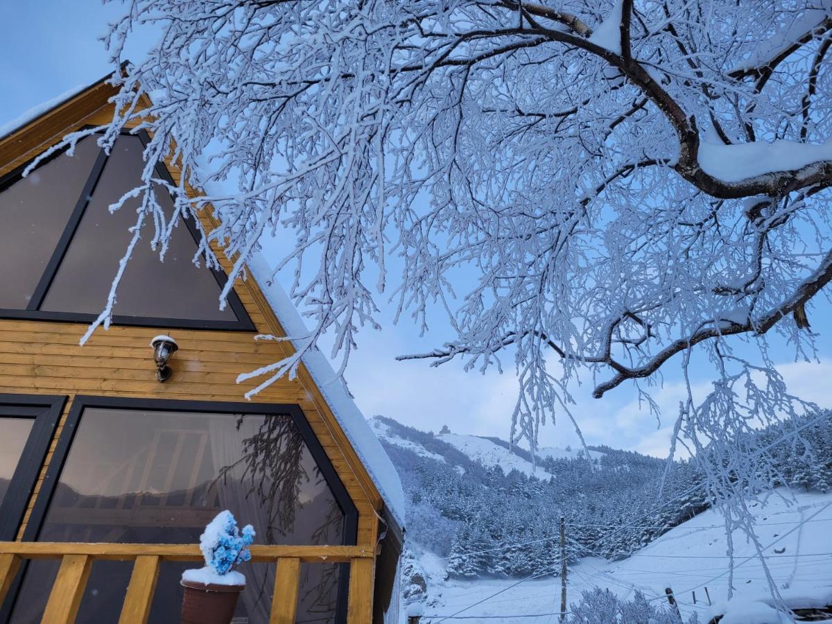 Pine Chalet Kazbegi מראה חיצוני תמונה
