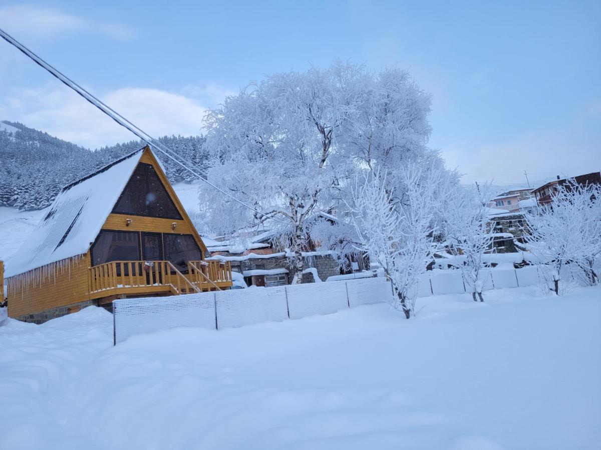Pine Chalet Kazbegi מראה חיצוני תמונה