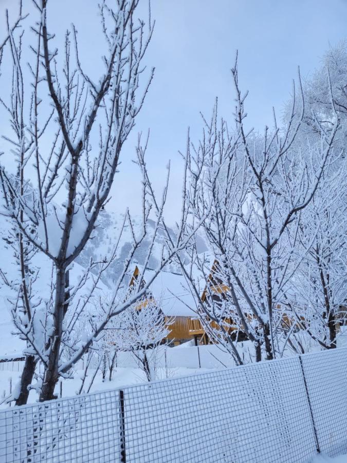 Pine Chalet Kazbegi מראה חיצוני תמונה