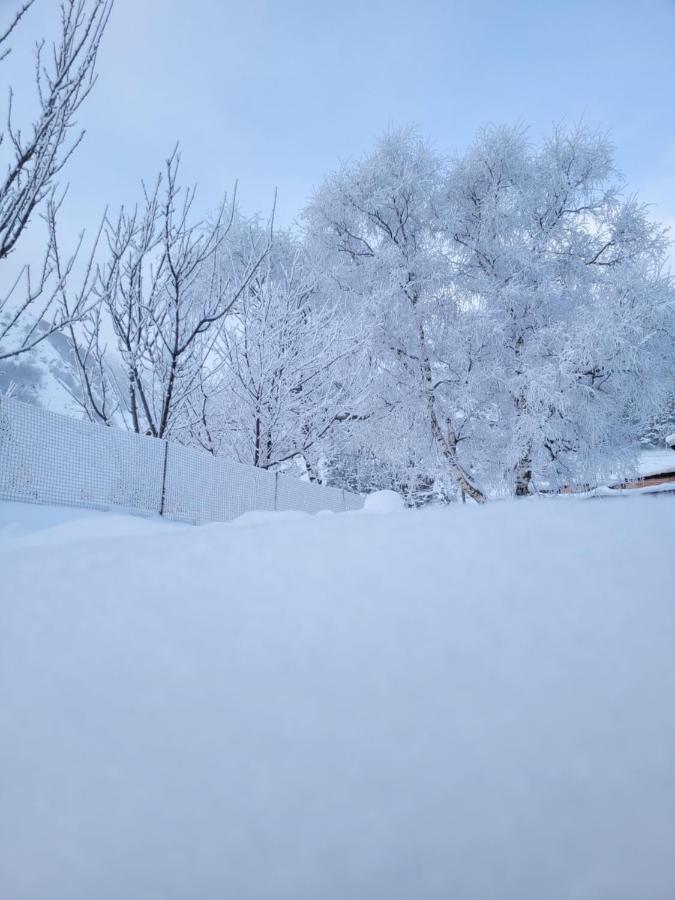 Pine Chalet Kazbegi מראה חיצוני תמונה